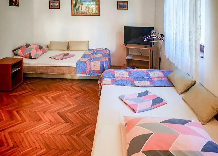 Pet Friendly In With Wifi