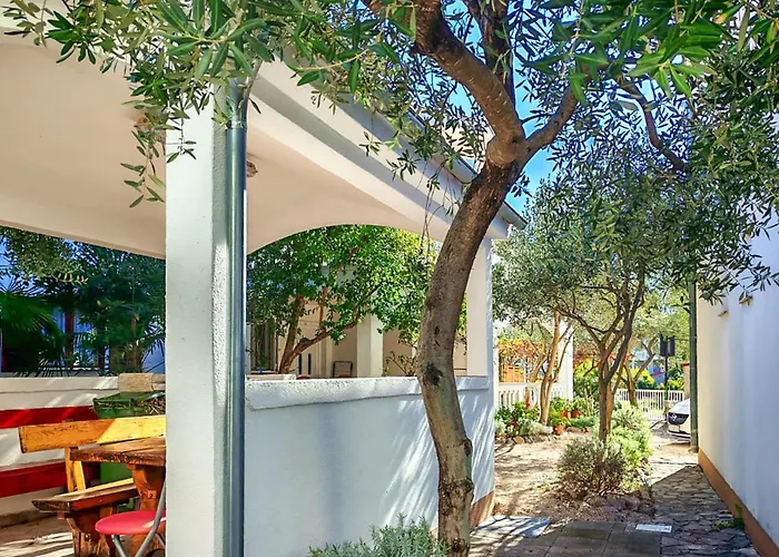 Pet Friendly In With Wifi Vodice