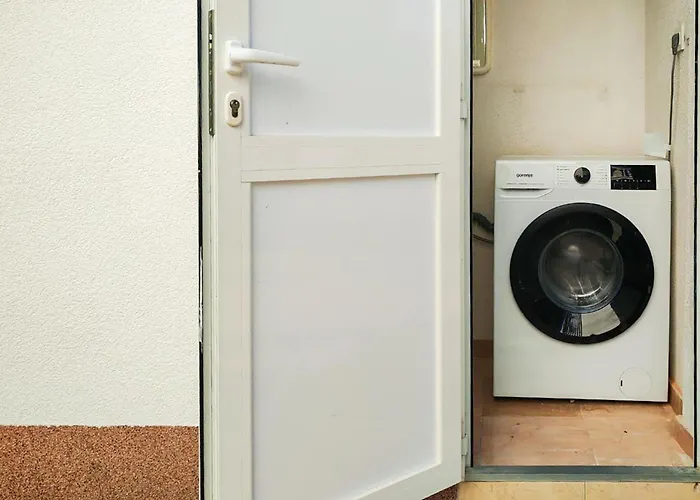 Pet Friendly In With Wifi