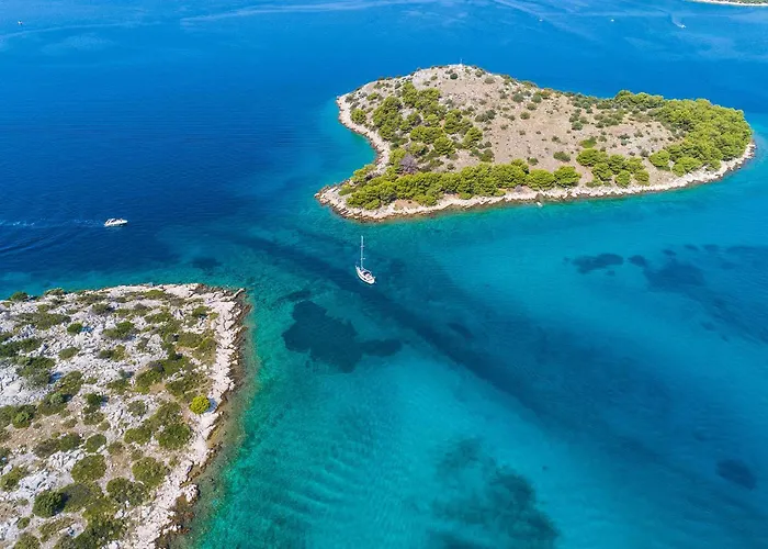 Pet Friendly In With Wifi